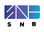 SNB Group: Your Trusted Value Added IT Distributor Since 2010